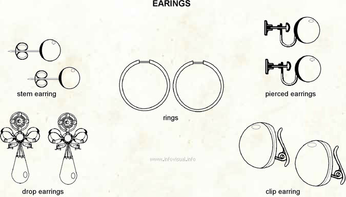 Earrings  (Visual Dictionary)
